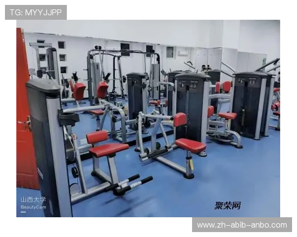 高端家用健身设备与基础款选购对比分析