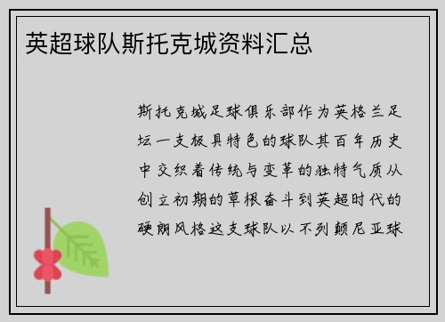 英超球队斯托克城资料汇总