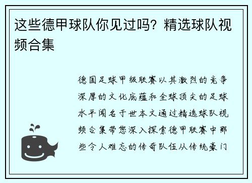 这些德甲球队你见过吗？精选球队视频合集
