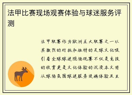 法甲比赛现场观赛体验与球迷服务评测